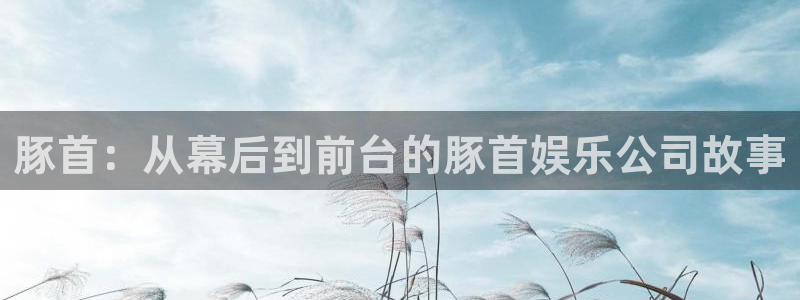 sunbet官网手机版：豚首：从幕后到前台的豚首娱乐公司故事