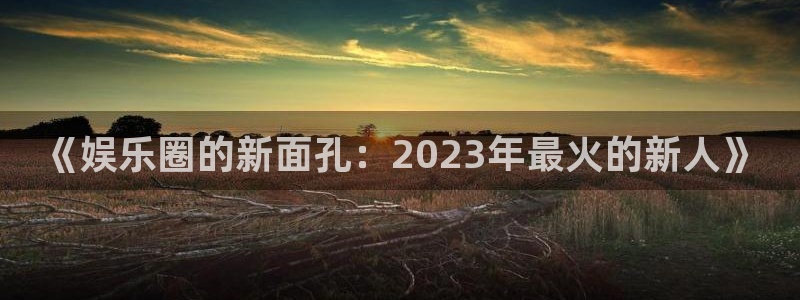 申慱sunbet苹果app：《娱乐圈的新面孔：2023年最火的新人》