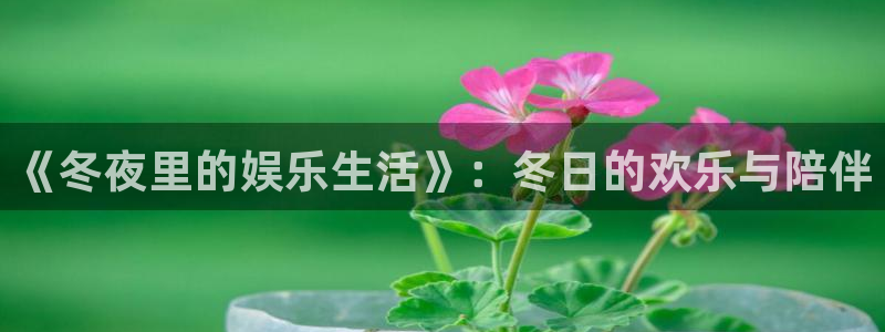 sunbet集团中国官网入口：《冬夜里的娱乐生活》：冬日的欢乐与陪伴