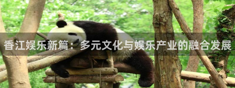 sunbet官网手机版：香江娱乐新篇：多元文化与娱乐产业的融合发展