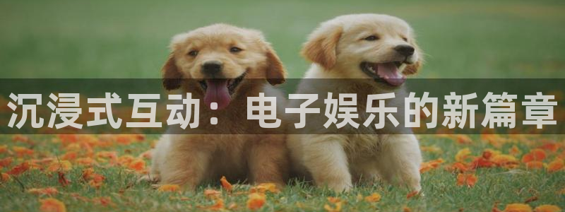 申慱sunbet手机版登管理网：沉浸式互动：电子娱乐的新篇章