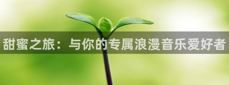 sunbet(中国区)官方网站：甜蜜之旅：与你的专属浪漫音乐爱好者